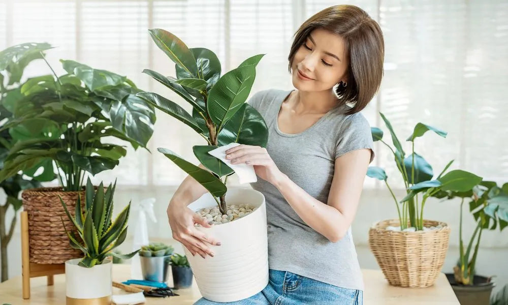 4 Design Trends That Will Stick Around in 2023